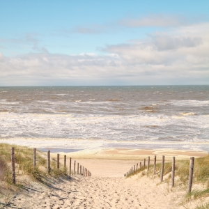 Website strand en natuur